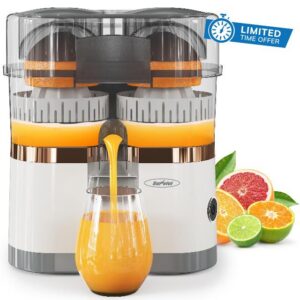 Dual-Head Electric Citrus Juicer
