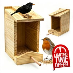 2-Pack Robin Nesting Box with Feeding Tray – Handcrafted Solid Wood Open Bird House