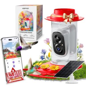 2.5K Hummingbird Feeder with Camera Solar Powered