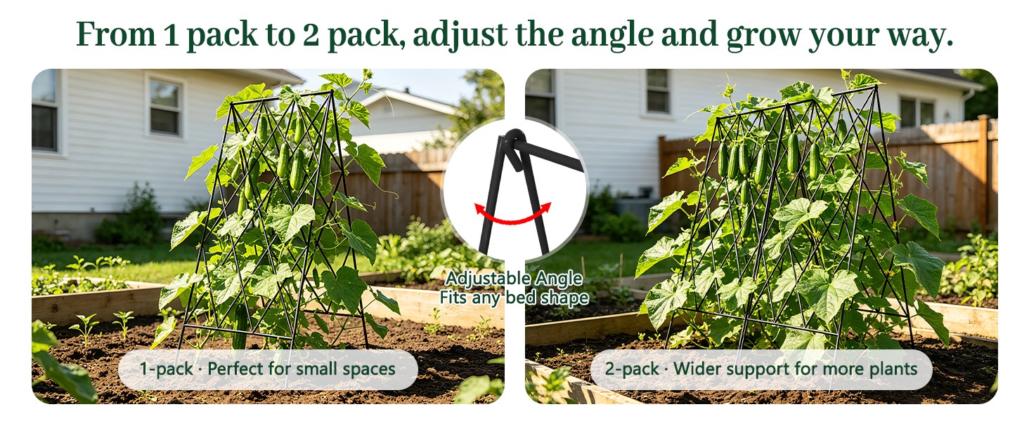 Cucumber Trellis