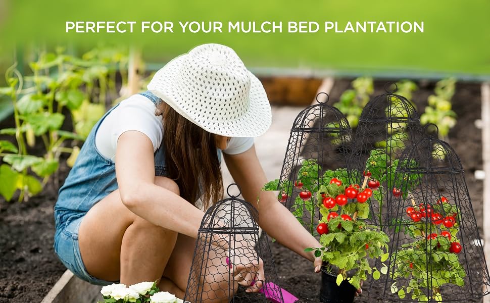 plant cloche plant cages to protect from deer cage