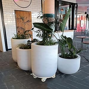 plant stand with wheels