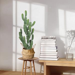 artificial cactus