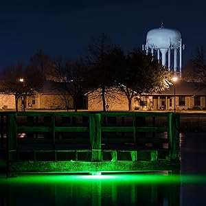green underwater fishing light shark