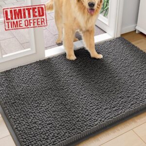 Amyracel Dirt Trapping Door Mat