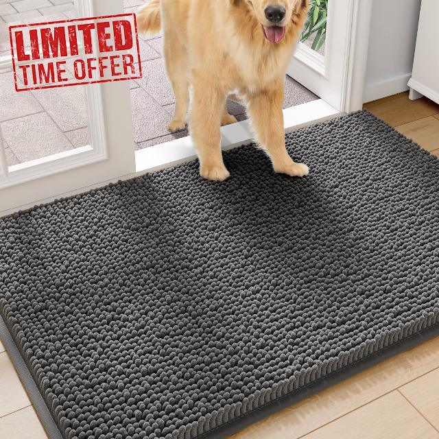 Amyracel Dirt Trapping Door Mat