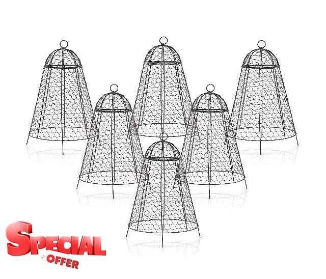 boldworks Garden Cloches for Plants Chicken Wire Cages to Protect from Animals Outdoor Extra Large Rustproof Thicker and Finer Mesh 12" x 20" Pack of 6
