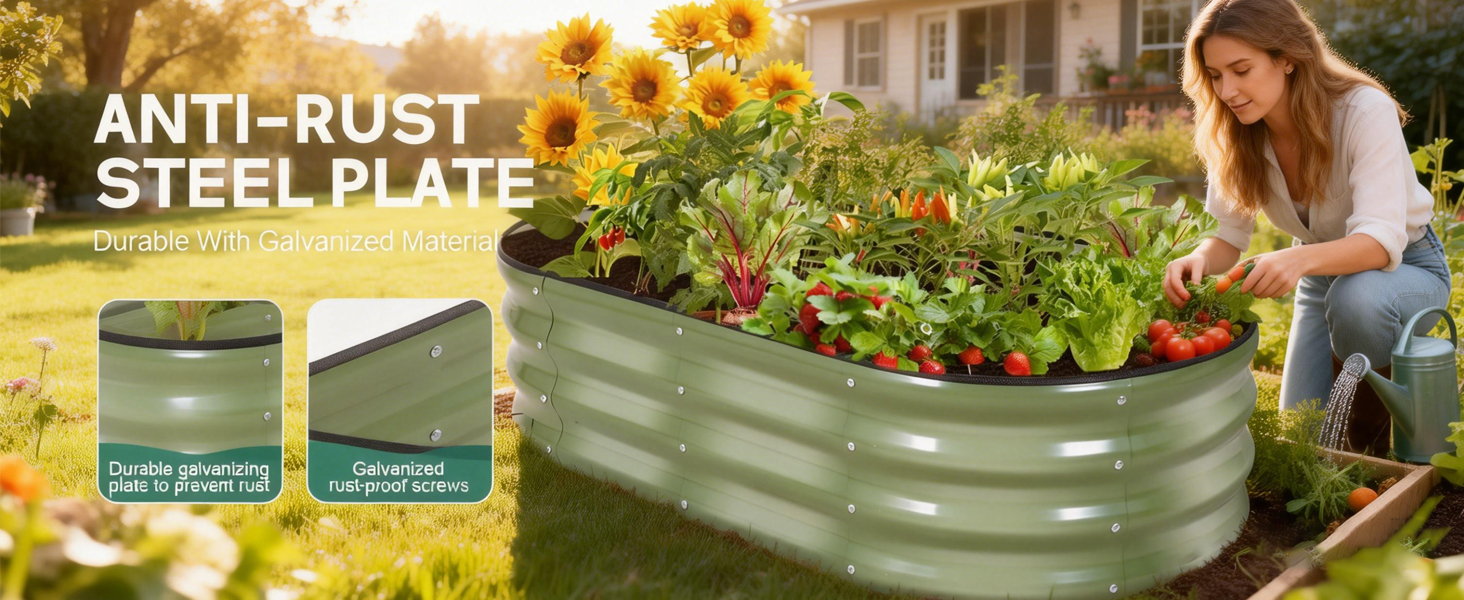 raised garden bed