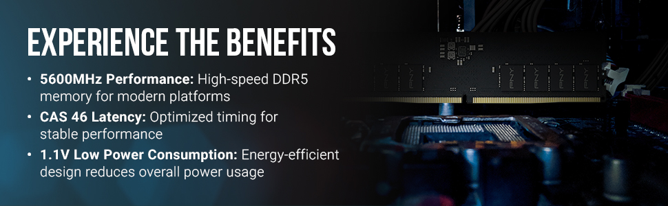 PNY Performance DDR5 5600MHz Desktop Memory - Available from 8GB-32GB (2x16GB)