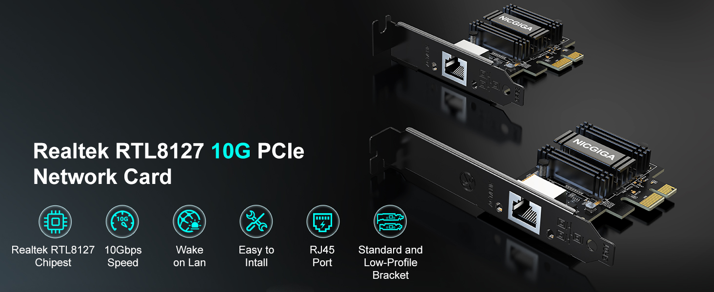 10g netwok card