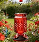 Tegarbed Glass Hummingbird Feeder for Outdoors Hanging, 25 OZ Humming Bird Nectar Feeder with 4 B...