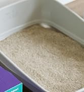 Litter Genie Light Unscented Clumping Cat Litter, 18.5 lbs | Lightweight 20% Lighter Natural Clay...