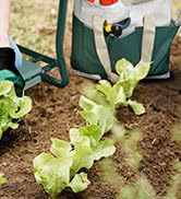 garden kneeler and seat