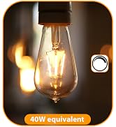 winsaLED 100 Watt LED Bulb, 12 Pack 9W LED Edison Light Bulbs 100 Watts Incandescent Bulbs Equiva...