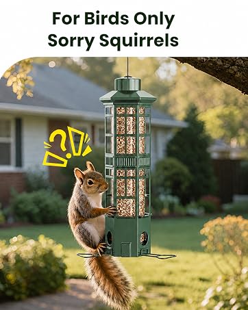 squirrel proof bird feeder