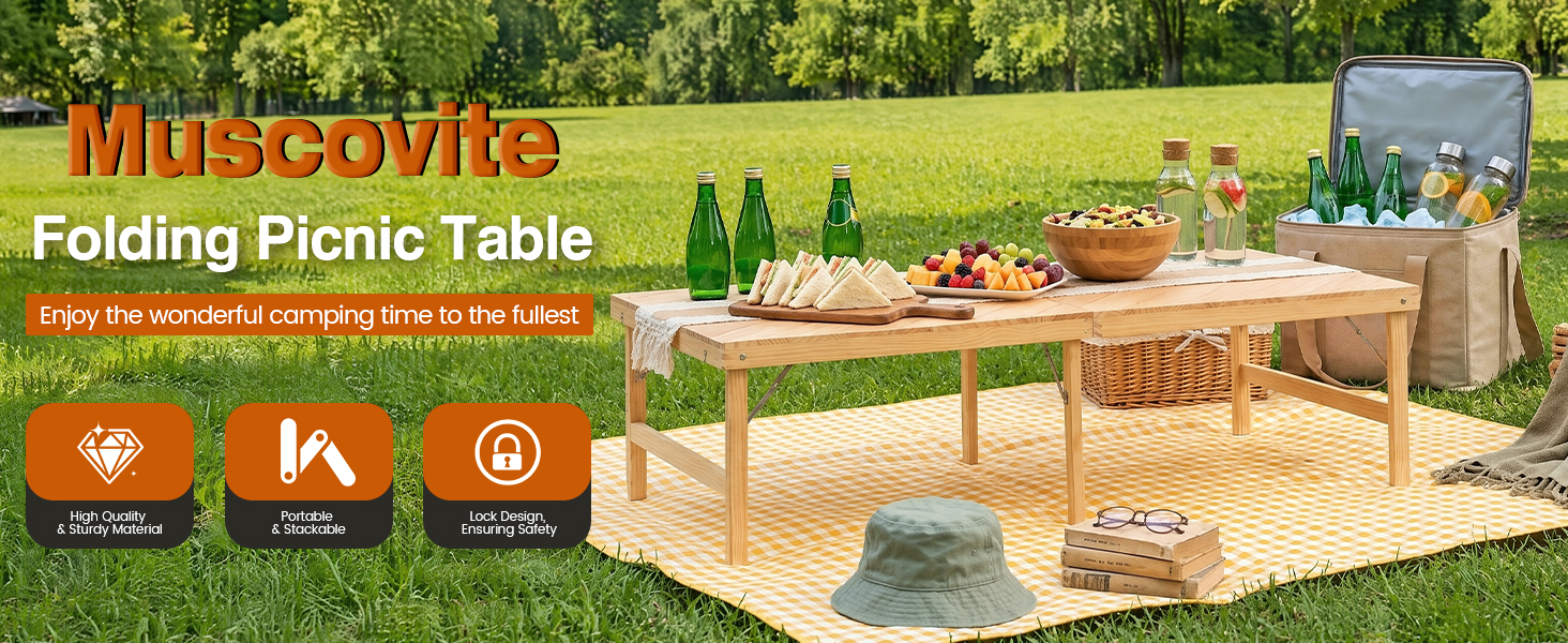 Folding Picnic Table