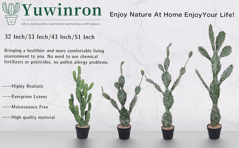 Artificial Cactus