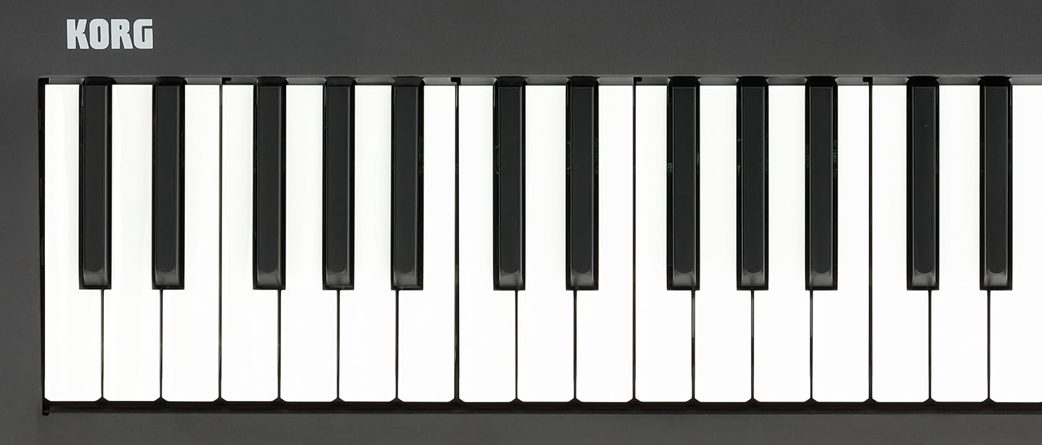 Korg