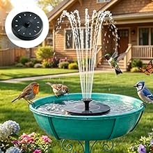 bird bath bowl
