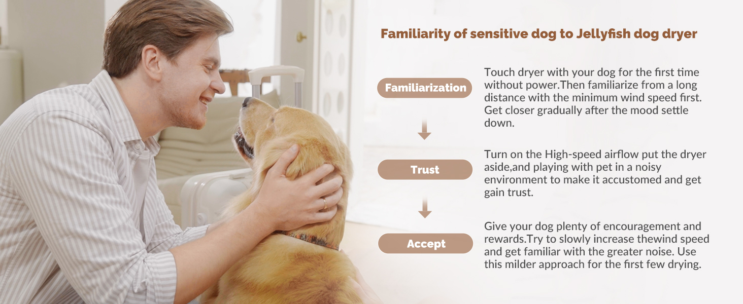 Familiarity of sensitive dog to Jellyfish dog dryer