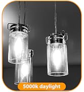 winsaLED T45 Dimmable Led Bulb 60 Watt Equivalent,Vintage E26 Base 6W LED Edison Bulbs,Tubular Cl...