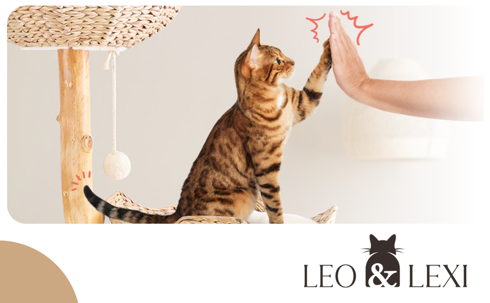Modern Cat Tree Luxury Cat Furniture Real Wood Cat Tower by Leo and Lexi