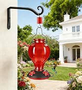 Tegarbed Hand Blown Glass Hummingbird Feeders for Outdoors Hanging