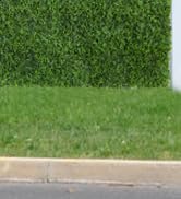 Luyue 12pcs Artificial Grass Wall Panels Greenery Backdrop 20”×20” Green Ivy Hedge Panel Greenery...
