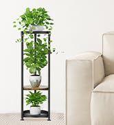 3 Tier Corner Plant Stand