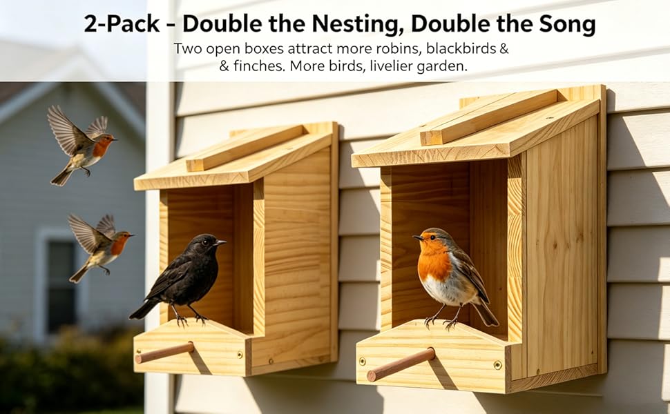Built-in-Feeding-Tray-Robin-Nesting-Shelf-Mealworms-Seeds