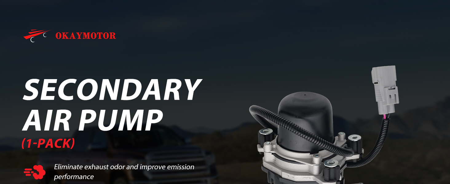 Secondary Air Injection Pump