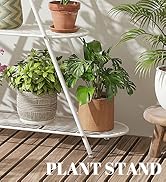 plant stand