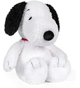 KIDS PREFERRED Peanuts Charlie Brown Toys Woodstock Baby Pulldown Ziggle Sensory Toy for Kids & T...