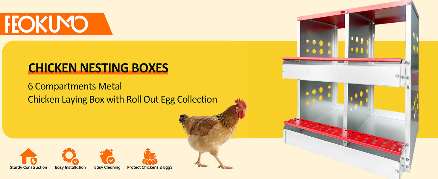 nesting boxes for chickens