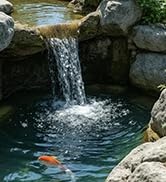 OYO Water Pond Pump