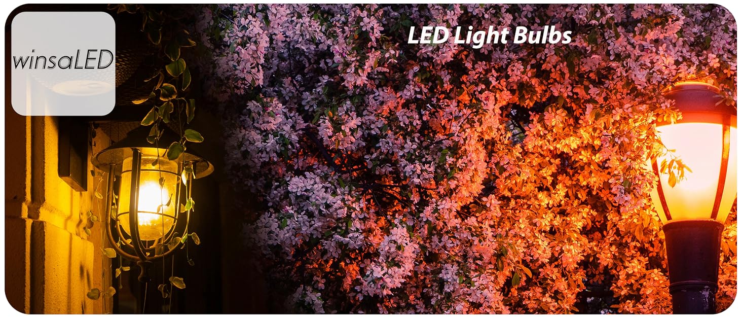40w edison bulbs