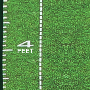putting green