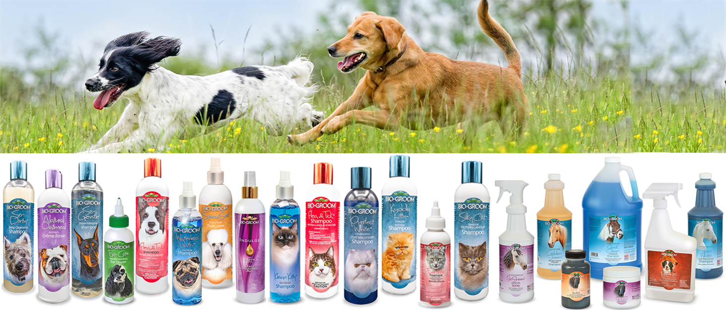 Bio-Groom product display