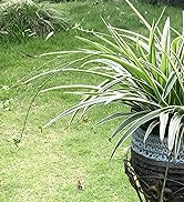 2 Pack Vintage Metal Plant Stands