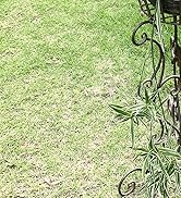 2 Pack Metal Tall Plant Stands