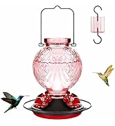 Tegarbed Glass Hummingbird Feeder for Outdoors Hanging, 25 OZ Humming Bird Nectar Feeder with 4 B...