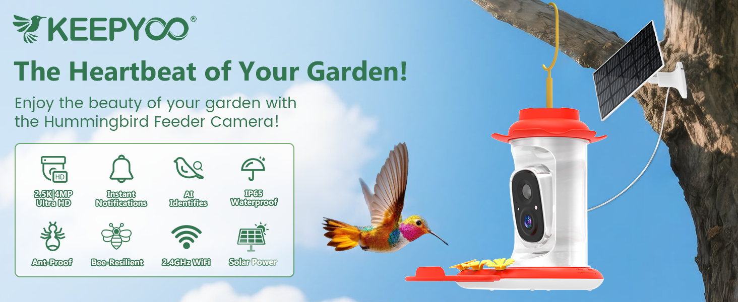 2.5K Hummingbird Feeder with Camera