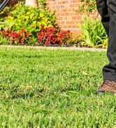 weed wacker cordless