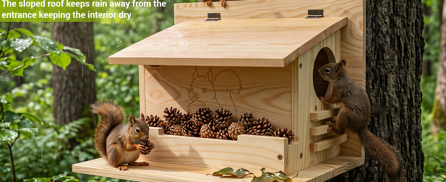 squirrel house with camera