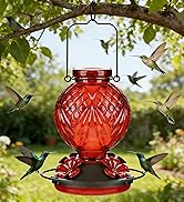 Tegarbed Hand Blown Glass Hummingbird Feeders for Outdoors Hanging