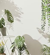 plant stand