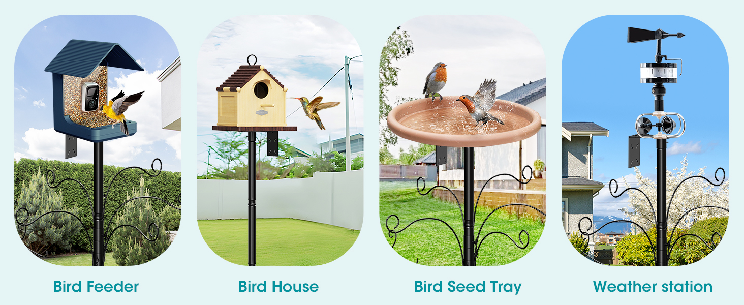 bird buddy