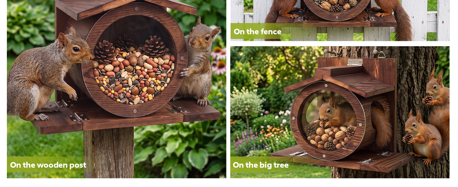 nut bar squirrel feeder