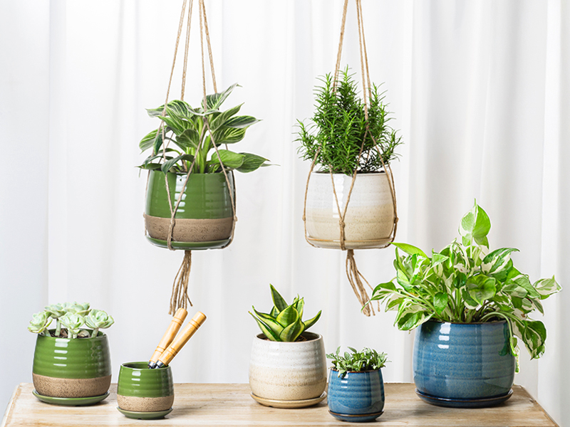 garden pot