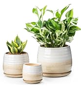 Ceramic Plant Pots with Drainage Holes and Saucers, Indoor Flower Pots for Plants Set of 3, 3.4+4...